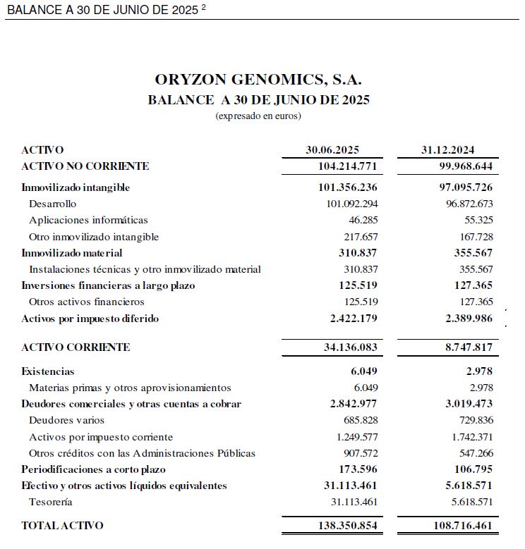 BALANCE A 30 DE JUNIO DE 2025