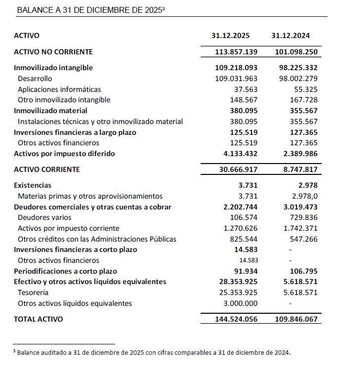 ALANCE A 31 DE DICIEMBRE DE 2025
